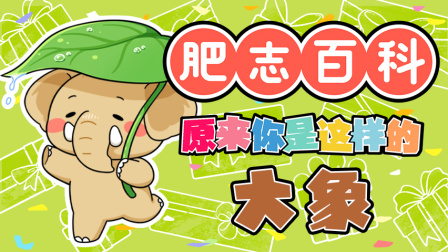肥志百科 第13季 3集