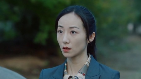 巡回检察组 TV版 29集