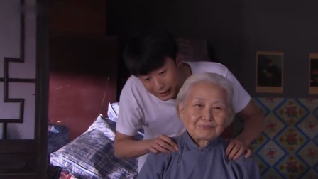 鸽子哨 15集