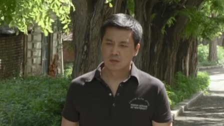 真情无限之养母生母 9集