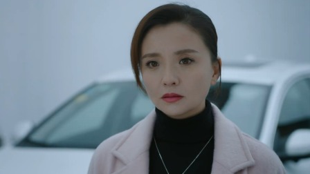 雾中系铃人 12集