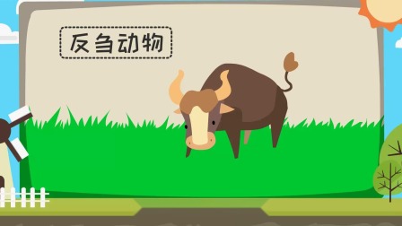 米粒动物大百科2 18集