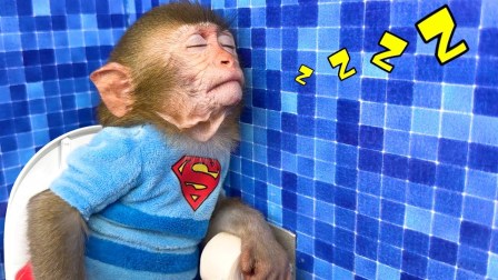 小猴子啵啵 第4季 29集