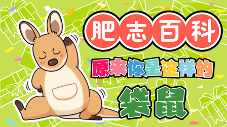 肥志百科 第13季 10集