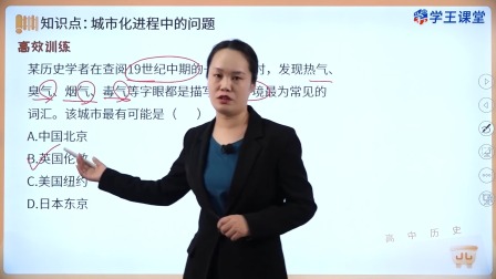 学王课堂 人教版高中历史选择性必修2（经济与社会生活）（部编版） 22集