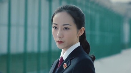 巡回检察组 TV版 9集