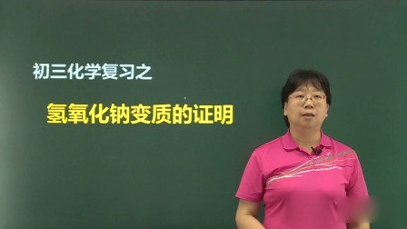 九年级化学总复习下 10集
