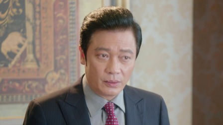 湾区儿女 12集