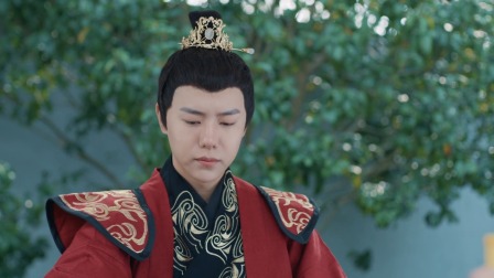 落难皇妃 22集