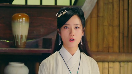 龙女情劫 21集