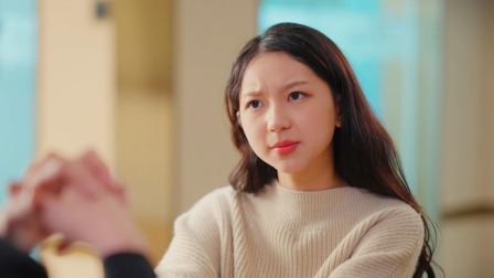 双生枕边人 13集