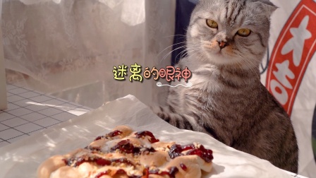 胖崽开饭啦 7集