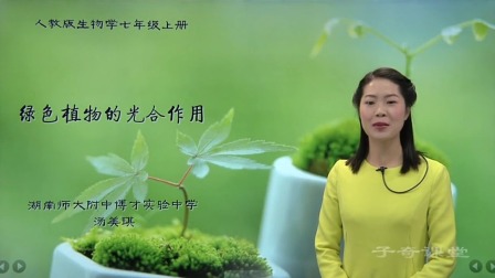 寒假高分特训营：生物 七年级 3集