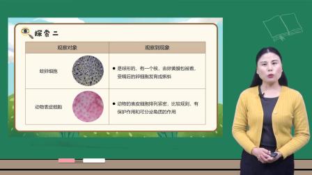 小学科学 教科版六年级上册全册视频课程 7集