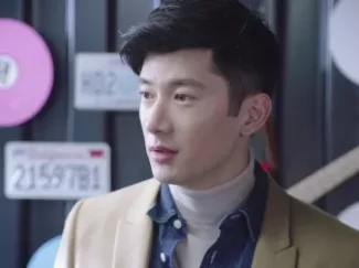 幕后之王 30集