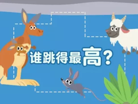 超萌动物园 新奇动物大派对 16集