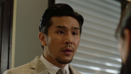 迷网 24集