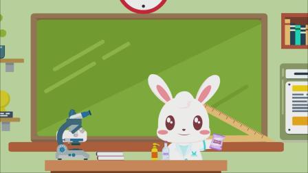 兔小贝科学实验 14集