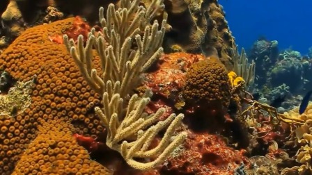 揭开海底两万里的神秘面纱 8集