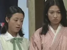 儿女英雄传 29集