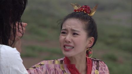 轩辕剑之天之痕DVD版 29集