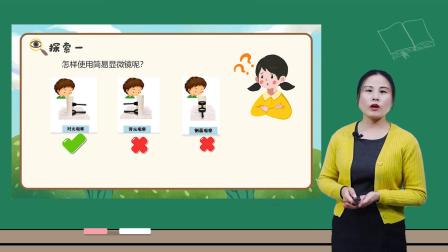 小学科学 教科版六年级上册全册视频课程 2集