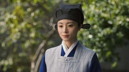 锦囊妙录 9集