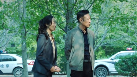 巡回检察组 DVD版 29集