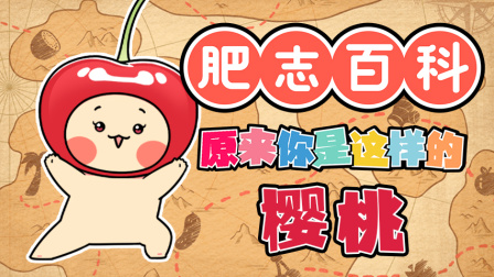 肥志百科 第12季 12集