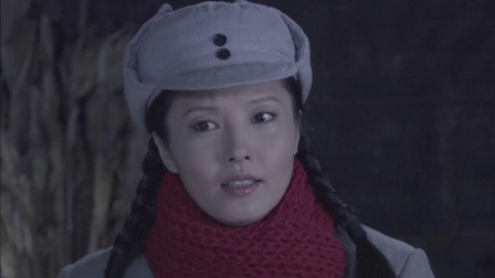 平原烽火 28集