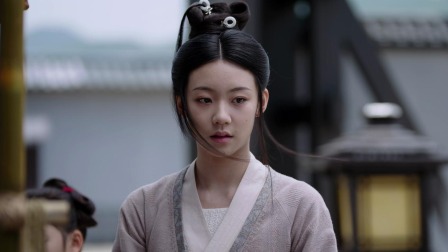 花间令 11集