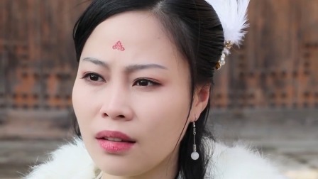 美人醉 14集