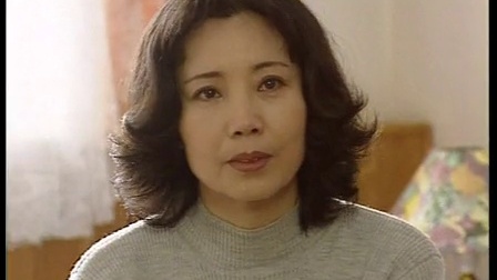 抉择（李幼斌版） 15集