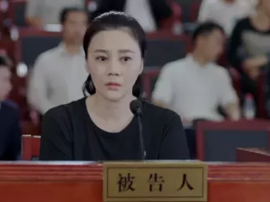 决胜法庭 5集