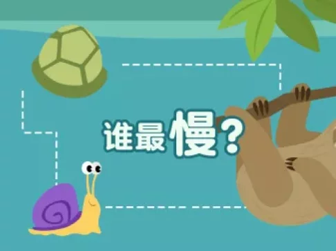 超萌动物园 新奇动物大派对 11集