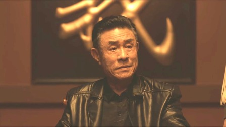 似火流年 9集