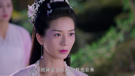 香蜜沉沉烬如霜 DVD版 9集