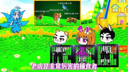 小公主小舞秘境奇遇记 110集