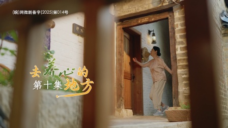 去养心的地方 10集