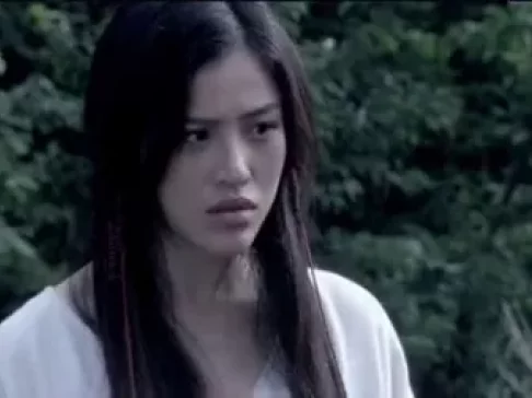 剿匪英雄 13集