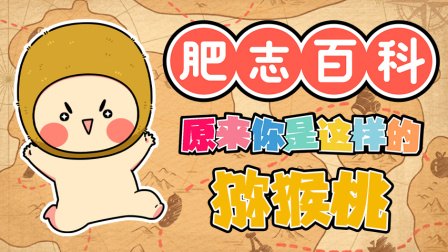 肥志百科 第12季 6集