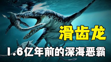 工程车探索恐龙动物世界 第二季 4集