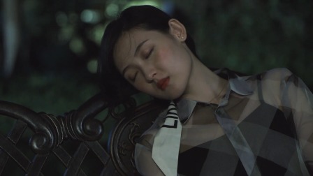 林夏许星河 23集