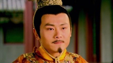 少年杨家将 13集