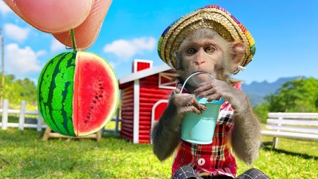 小猴子啵啵 第三季 1集