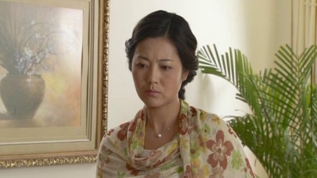 真情无限之养母生母 22集