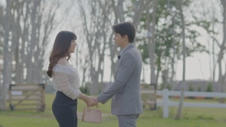 天鹅套索 DVD版 31集