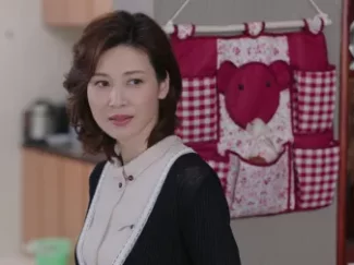 那座城这家人  DVD版 39集