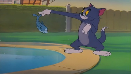 猫和老鼠跑酷进行时 13集