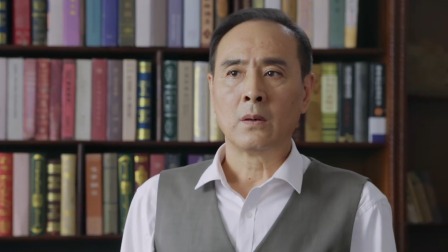 特别行动 31集